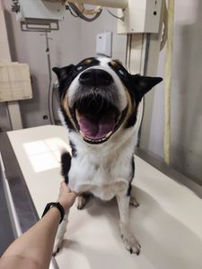 Ituiutaba/MG - Ajude Jessie a voltar a enxergar