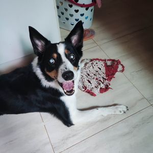 Ajude Jessie a voltar a enxergar imagem 7