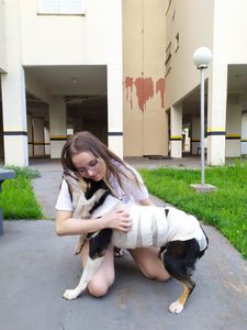 Ajude Jessie a voltar a enxergar imagem 9