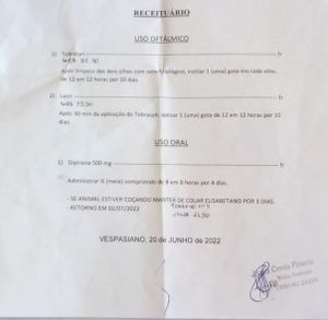 Me ajude no meu tratamento contra a úlcera! imagem 6