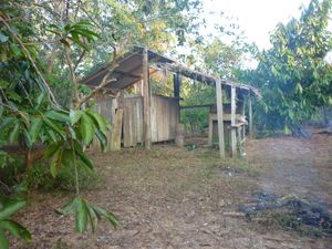 null - intuito de construir um ambiente de renda para as familias dessa comunidade