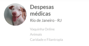 🐶 Solidariedade pelo Chico