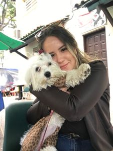 Faculdade de Medicina  imagem 6