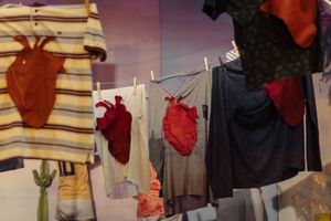 Minha Mãe Não Dorme Enquanto Eu Não Chegar... Na Rússia!