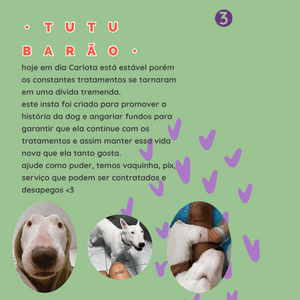 Elektra - Ajude a Khalee a seguir com os tratamentos