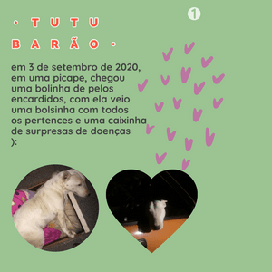 Vaquinha Online - Ajude a Khalee a seguir com os tratamentos