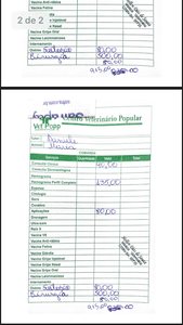 Operação Maria - Operação Maria 