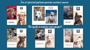 01/25. Todos juntos pelos Pit's Ales.