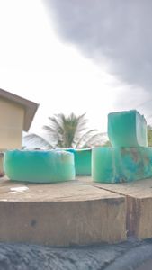 Meio ambiente - Realizando um Sonho na Arte da Saboaria Artesanal e Natural