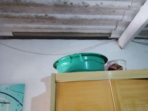 Saúde e Emergências - Minha casa, minha angústia