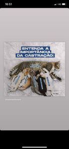 Porto Alegre/RS - Castração é a Solução 