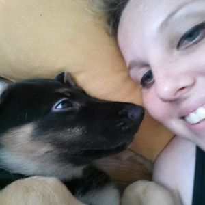 Joinville/SC - 🐾 Impressões de Lealdade: Papelaria com Propósito