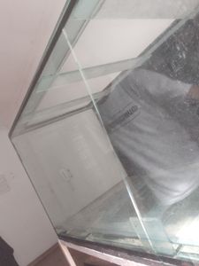 Vaquinha Online - Me ajude a trocar esse vidro e continuar a preservar espécies 