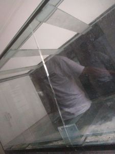 Animais - Me ajude a trocar esse vidro e continuar a preservar espécies 