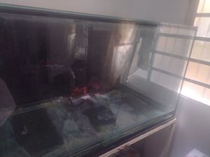 Aquário 800L trincado  - Me ajude a trocar esse vidro e continuar a preservar espécies 