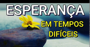 Vaquinha Online - Começar de novo!