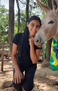 SOS CAVALOS  DA BSTA - SOS CAVALOS 