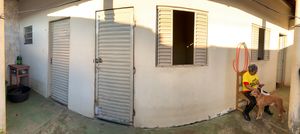 Associação Maracaense de Amparo aos Animais - AMAA - Amor e cuidados aos animais 🐶💗