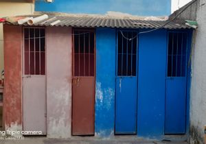 Amor e cuidados aos animais 🐶💗 imagem 7