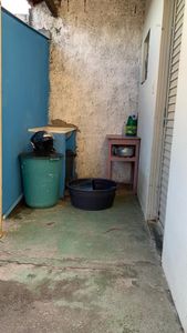 Amor e cuidados aos animais 🐶💗 imagem 6