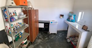 Maracás/BA - Amor e cuidados aos animais 🐶💗