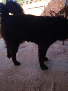 Vaquinha Online - Ajude a Lia