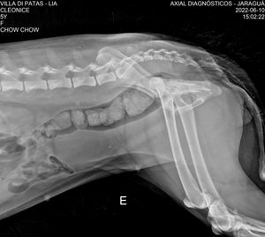 Ajude a Lia imagem 7