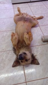 Vamos ajudar  imagem 6