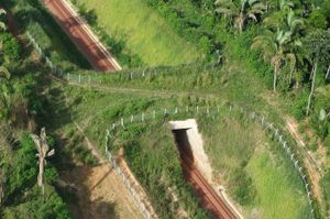 Livro ECOLOGIA DE TRANSPORTES imagem 7