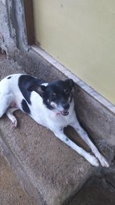 Rio de Janeiro/RJ - Nós Ajudes nessa campanha 