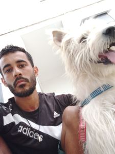 Animais - AJUDA PARA SALVAR MEU AMICÃO