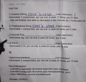 Vaquinha Online - AJUDA PARA SALVAR MEU AMICÃO