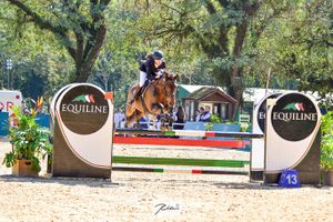 Camila Braz se destaca no Hipismo e se prepara para novos desafios imagem 8