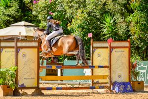 São José dos Campos/SP - Camila Braz se destaca no Hipismo e se prepara para novos desafios
