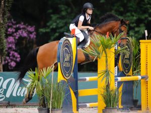 Camila Braz se destaca no Hipismo e se prepara para novos desafios imagem 6