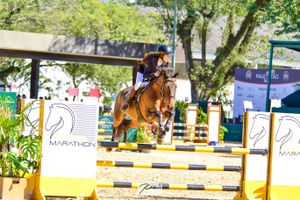 Vaquinha Online - Camila Braz se destaca no Hipismo e se prepara para novos desafios