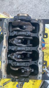 Caridade e Filantropia - Manutenção da vida