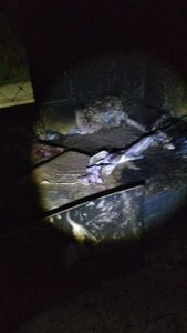 Vaquinha Online - Perdemos tudo no Incêndio da nossa casa