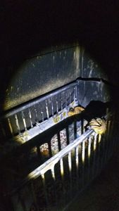 Causas e Comunidade - Perdemos tudo no Incêndio da nossa casa