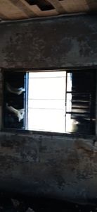 Vaquinha solidária em prol da Vivian e sua Família!