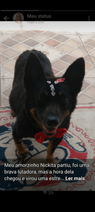 Nickita - Ajuda para pagar tratamento da Nickita