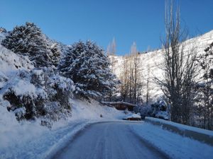 Vaquinha Online - Denise precisa viajar.