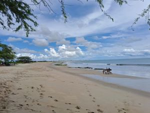 Denise precisa viajar - Denise precisa viajar.