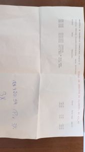 Ajude os gatinhos abandonados da Rua Ourânia imagem 6