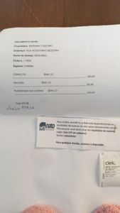 Mariana Toscano - Ajude os gatinhos abandonados da Rua Ourânia