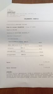 São Paulo/SP - Ajude os gatinhos abandonados da Rua Ourânia