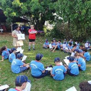 Capela São Francisco de Assis  imagem 7
