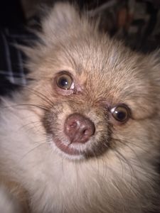 Ajude o Buda a operar o coração ❤️ 