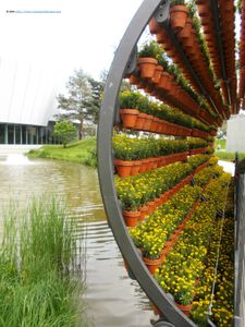 Pré-venda Coletiva - Pré-venda de Cachepot em madeira pra suculenta com 50% de desconto 