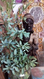 Iyá Helena de Oxum - Compra de terreno para construir 1 Terreiro de Umbanda